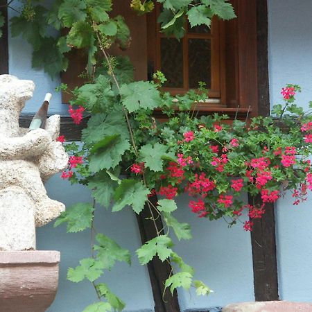 Chambres D'Hotes Ruhlmann Dambach Esterno foto
