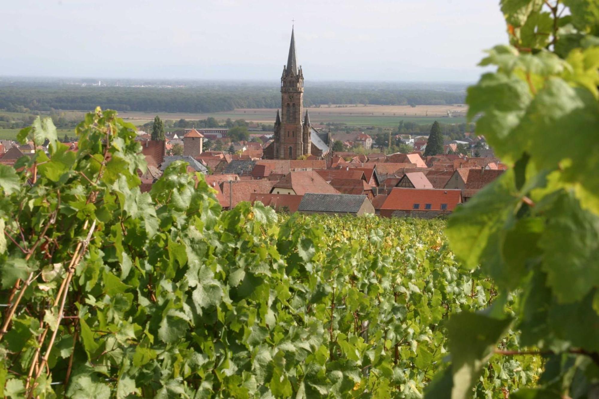 Chambres D'Hotes Ruhlmann Dambach Esterno foto
