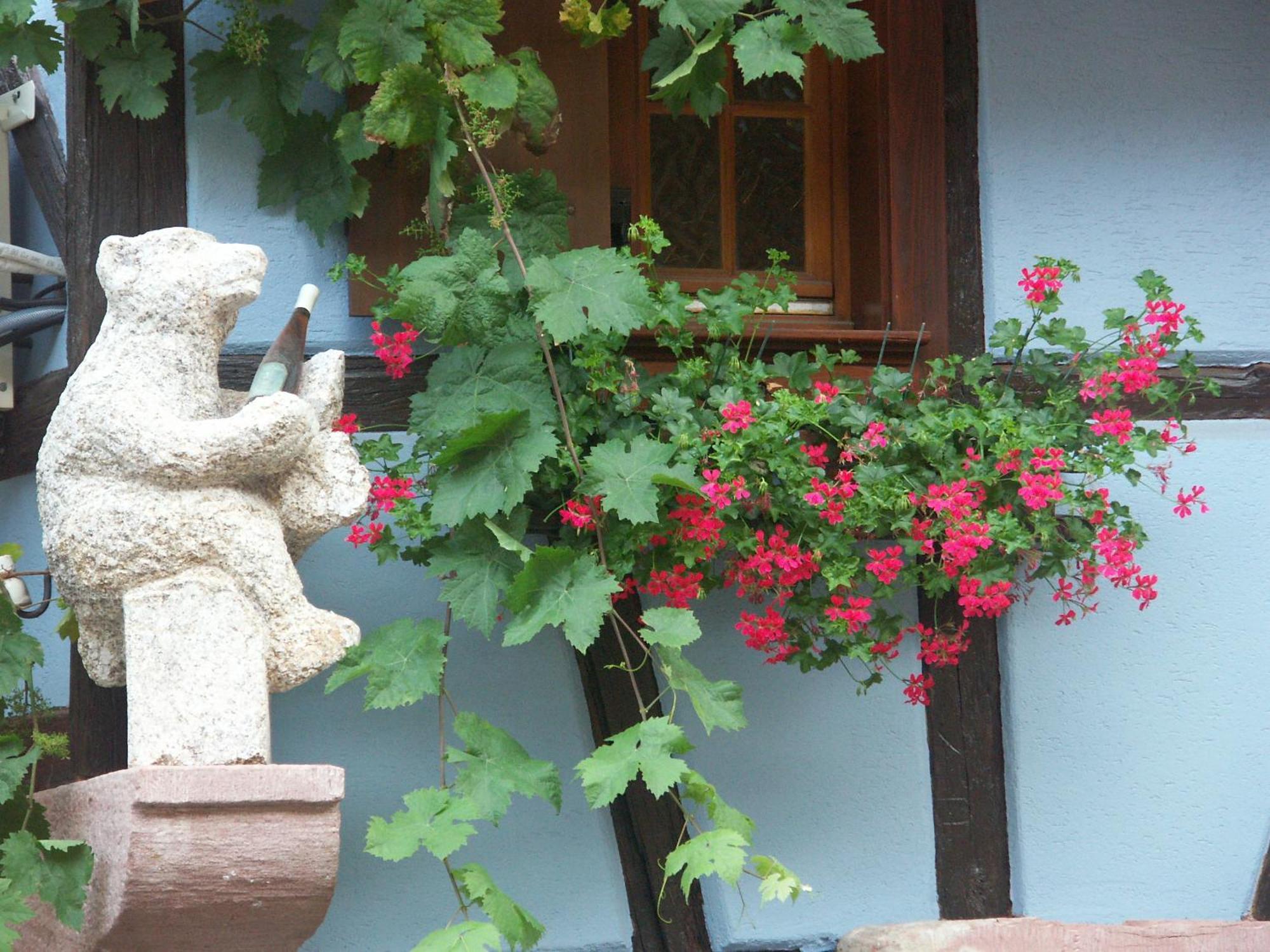 Chambres D'Hotes Ruhlmann Dambach Esterno foto